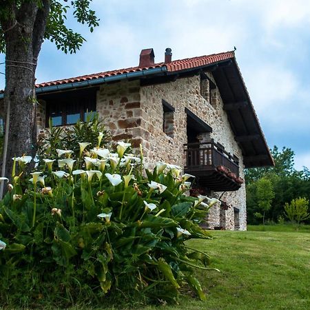 Apartamentos Rurales Larrago Busturia Buitenkant foto